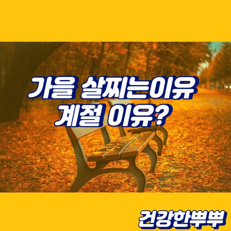  가을에살찌는이유 가을식욕증진