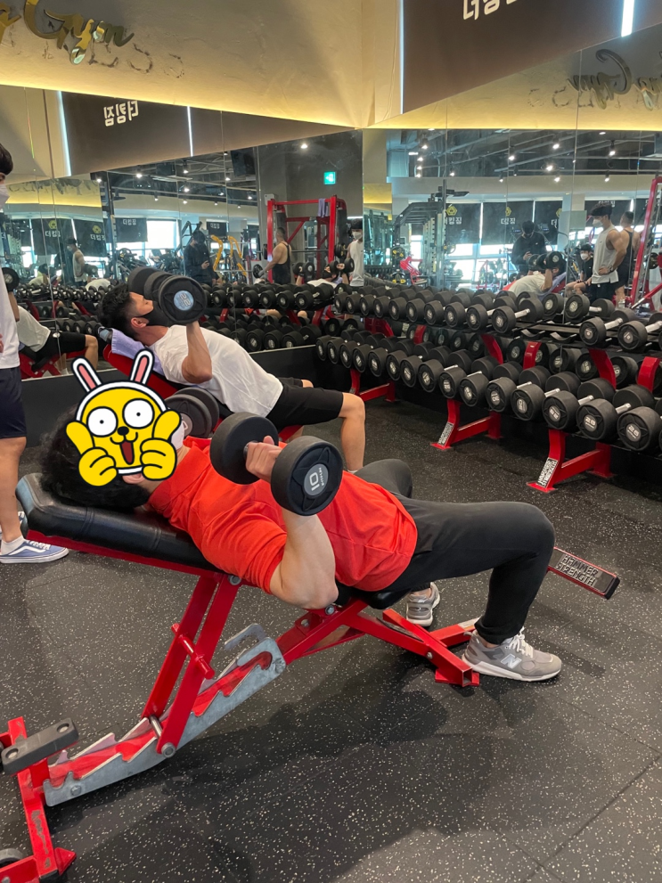  오늘의 운동 : 인클라인 덤벨프레스