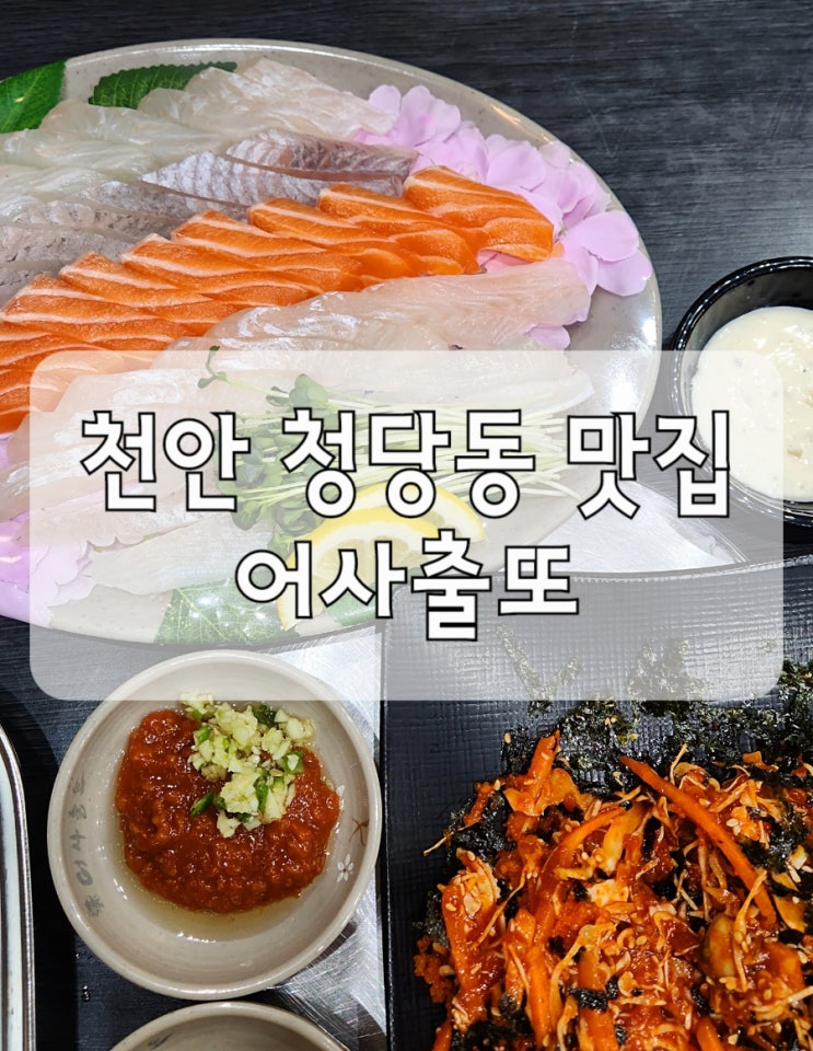  천안 어사출또 세트 10번 모듬회+소라무침+새우튀김+매운탕 청당동 횟집 맛집