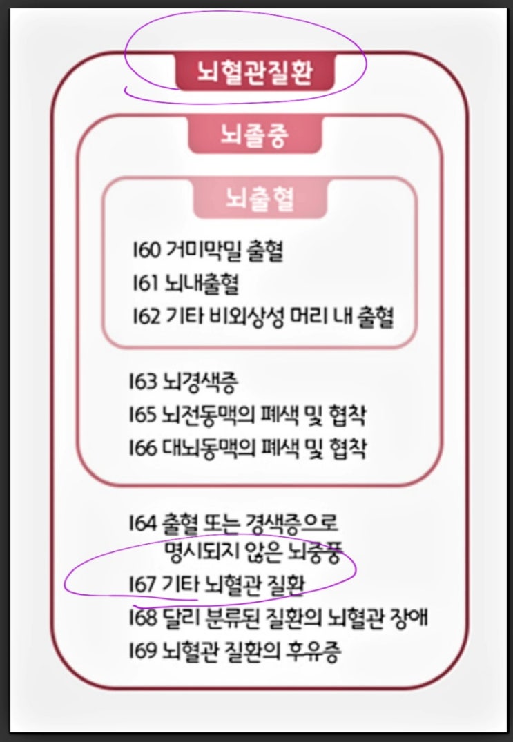  뇌혈관 진단비 (I67)