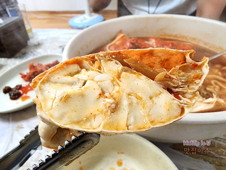 대전 신성동 꽃게칼국수 맛집 서천해물칼국수, 흥커피로스터스 카페