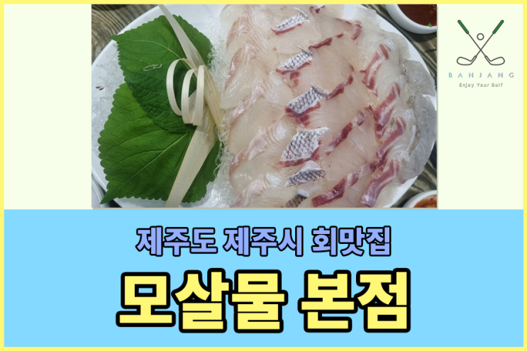 제주도회맛집,제주도 객주리회,객주리조림,제주도매운탕맛집,제주공항맛집추천,제주시회맛집,제주시활어회맛집,제주시뱅에돔맛집,제주공항맛집추천 - 모살물 본점