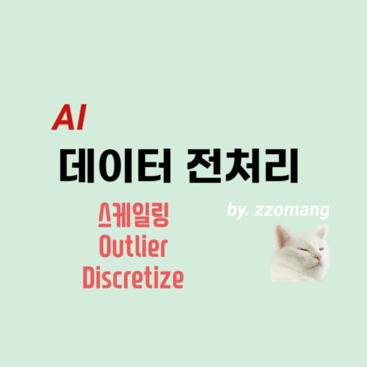  [AI] 데이터 전처리 - 스케일링/Outlier/Discretize