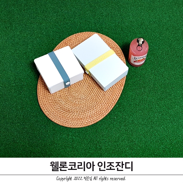 웰론코리아 인조잔디 셀프인테리어로 집순이의 로망 이룸 웰론코리아 인조잔디 셀프인테리어로 집순이의 로망 이룸