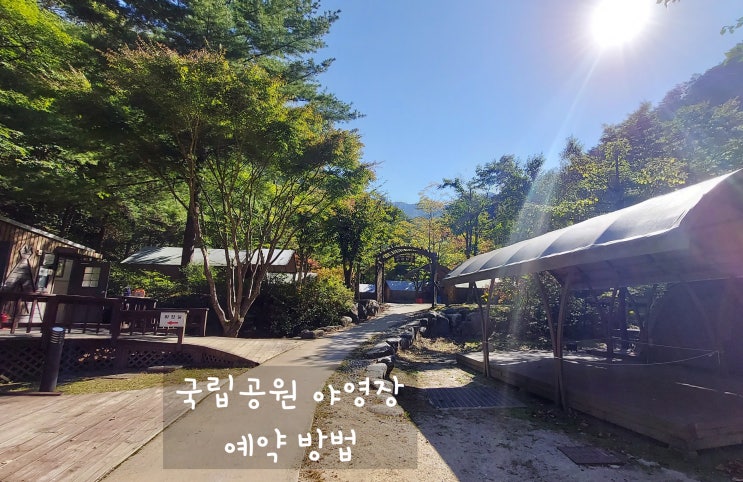  국립공원 야영장 예약 완젼 쉽네~! 사이트부터 결제까지 방법알기