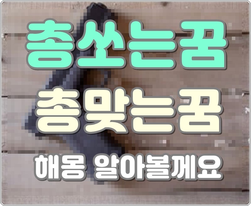 총쏘는꿈 해몽 총맞는꿈 알아볼께요