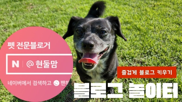즐겁게 블로그 키우기 놀이터로 초대합니다 즐겁게 블로그 키우기 놀이터로 초대합니다