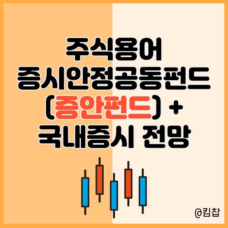  주식용어 증시안정 공동펀드(증안펀드)와 국내 주식전망