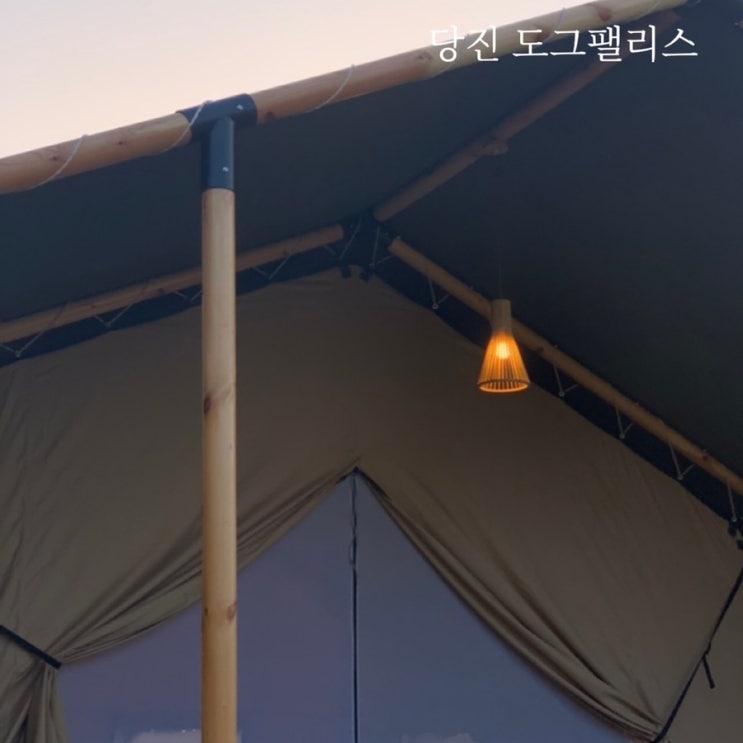  당진 도그팰리스 애견동반글램핑 당진애견유치원 부끄네개린이집 캠핑