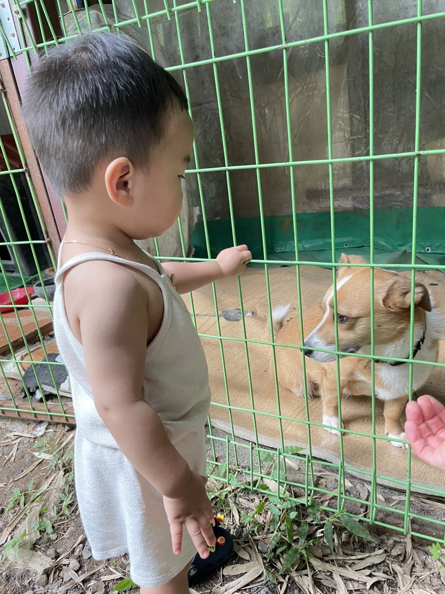 고가식당 사진 5