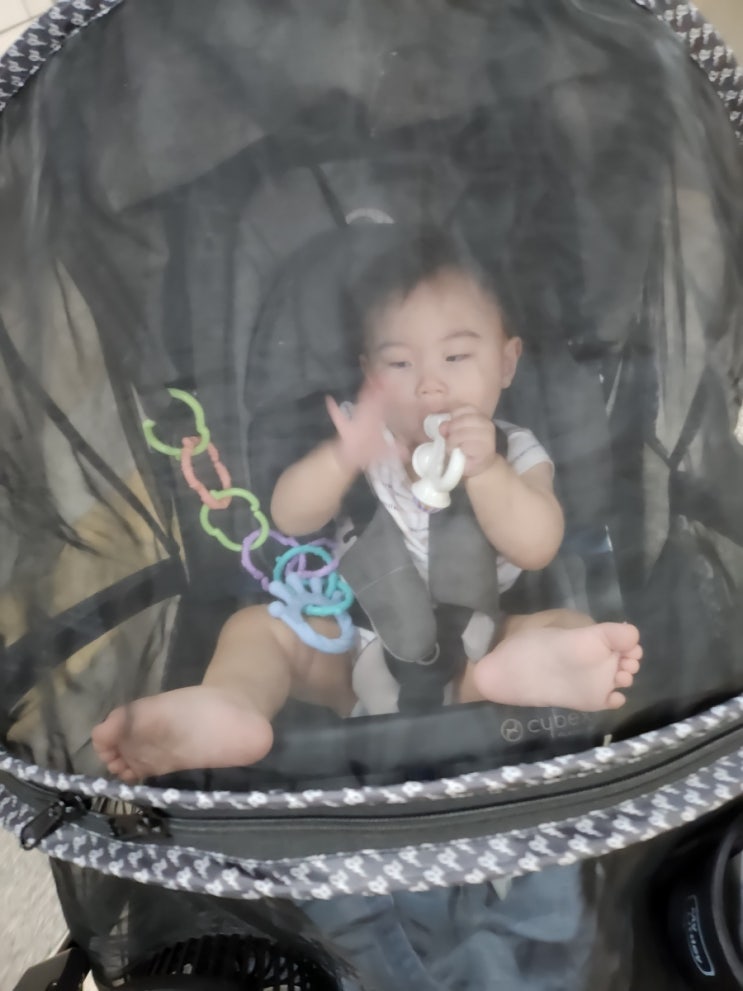 계란 알레르기가 있는 경우 9개월 독감주사를 어떻게 할까?
