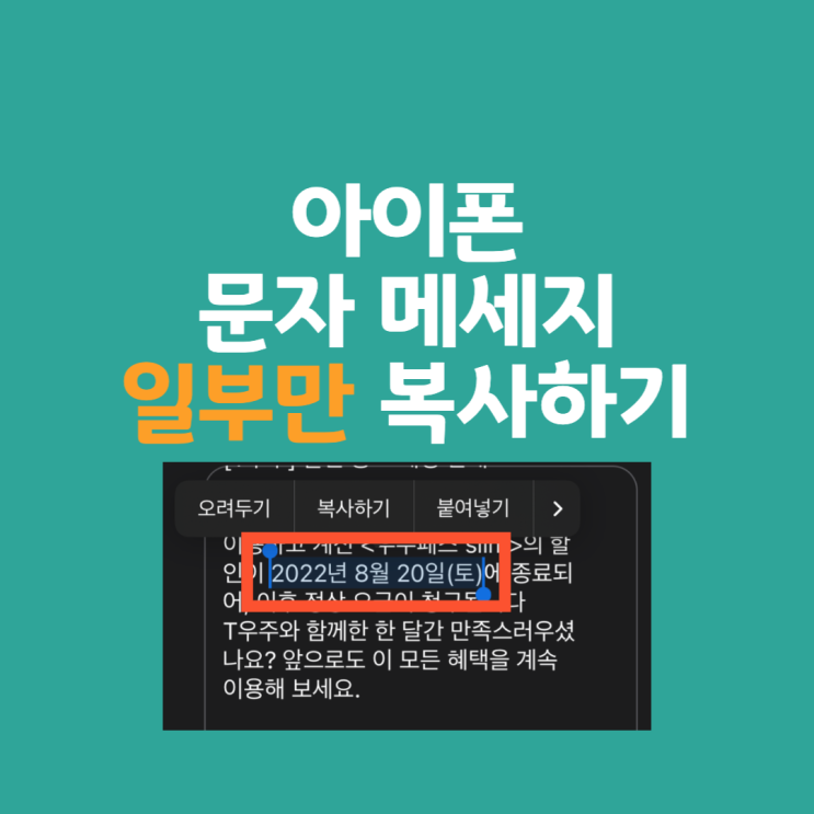  아이폰 문자 메세지 일부만 복사하기