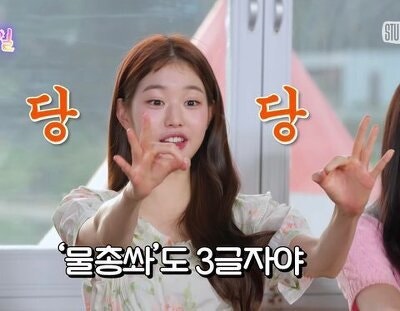 아이브 장원영 국적 중국? 대만 화교 4세 집안 실체 : 네이버 블로그