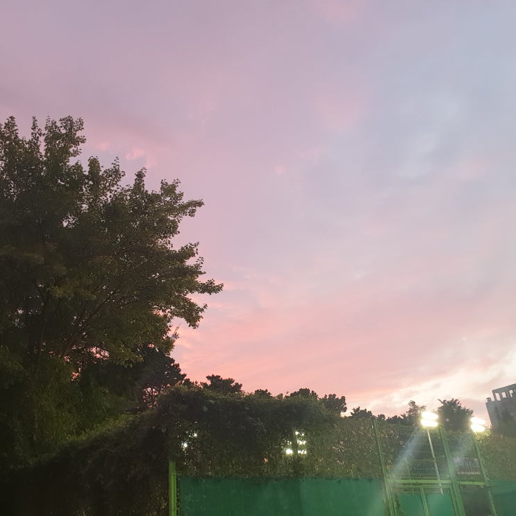 주간일기 챌린지 (09.29)