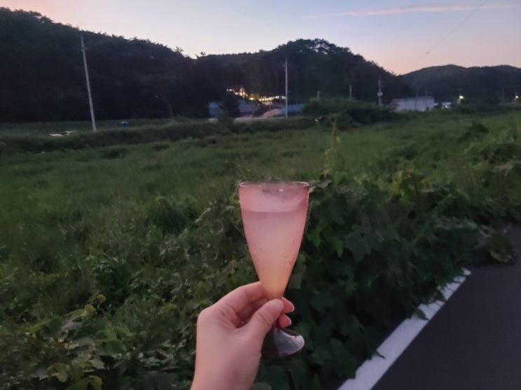  솔이랑 함께 하는 올해 마지막 여름 휴가ㅣ경주 여행 (1)