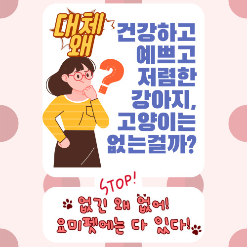 강아지 고양이 분양 어려워할 필요 없습니다!