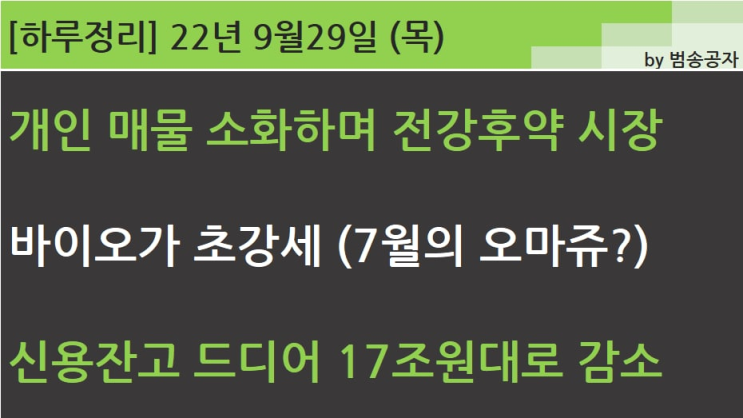  [선별종목] 22.09.29 (목) 개인 매물 소화하며 전강후약이었던 시장 (시스타 '있다 없으니까')