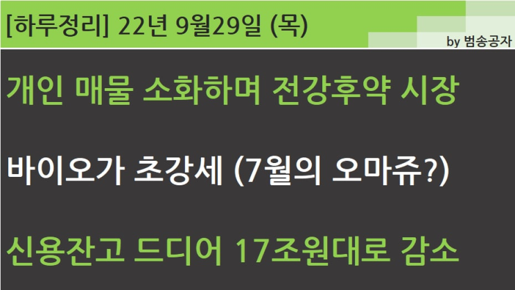 [선별종목] 22.09.29 (목) 개인 매물 소화하며 전강후약이었던 시장 (시스타 '있다 없으니까')