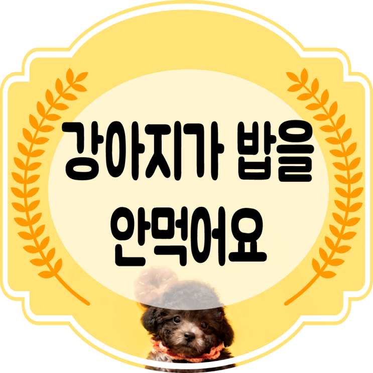  강아지가밥을안먹어요  이유 와 해결 방안을 알아보자