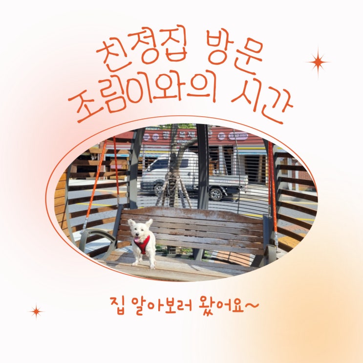  집 알아보기 위해 친정집에 방문했어요~조림이와 산책도 많이 하고~집도 가계약했답니다!!