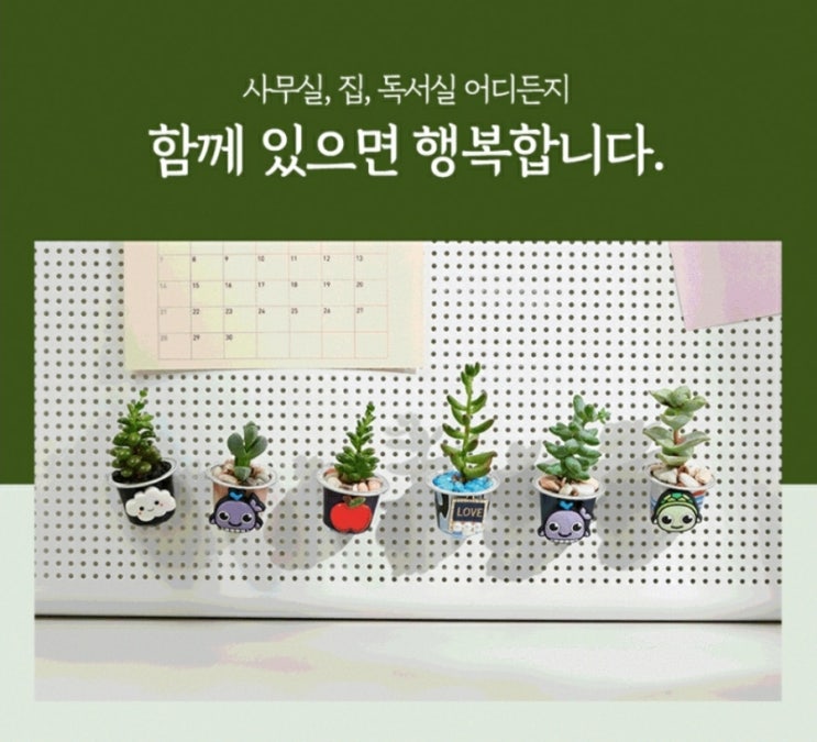  업사이클링 미니자석화분 만드는 나무를 심는 사람들