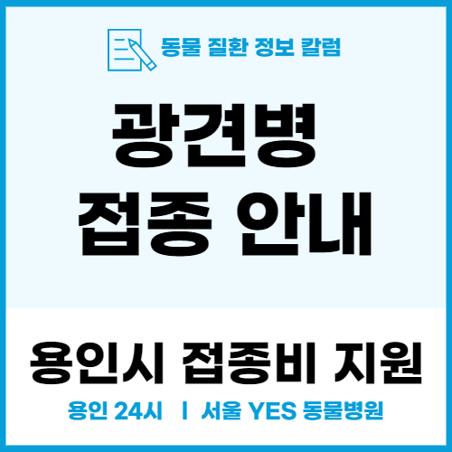 [용인 동물병원] 용인시 광견병 접종 지원 (24시 서울예스동물병원)