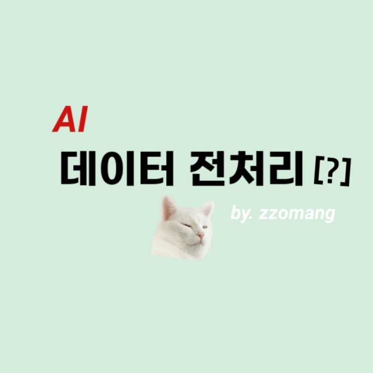  [AI] 데이터전처리란? - 데이터 전처리 케이스, 기법