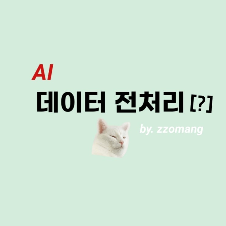 [AI] 데이터전처리란? - 데이터 전처리 케이스, 기법