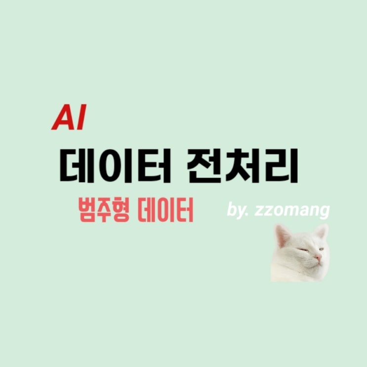  [AI] 데이터 전처리 - 범주형 데이터(명목형, 순서형)