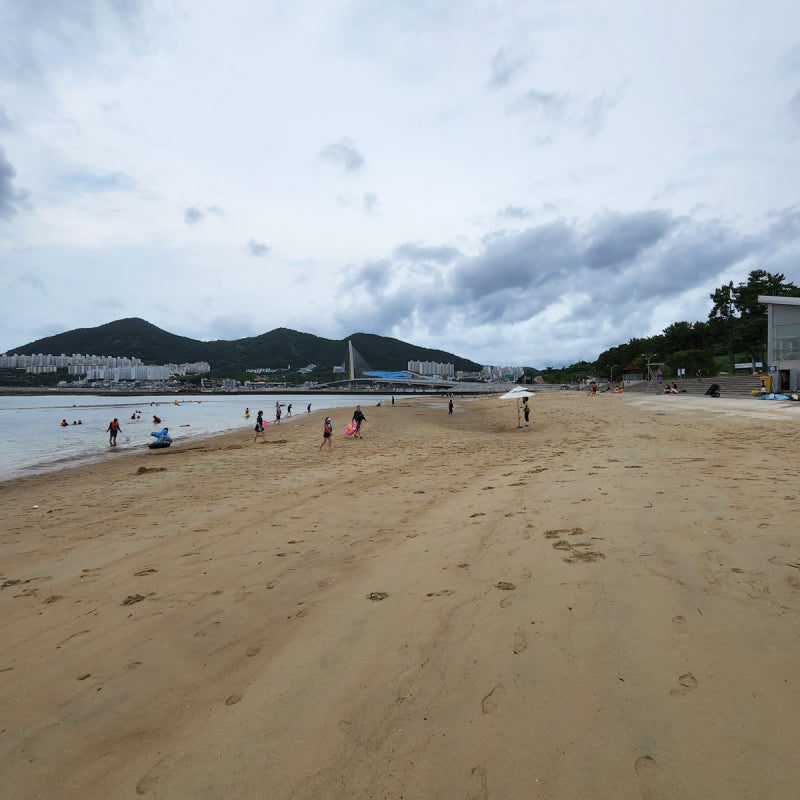 여수 장도 섬여행 볼거리 다양 산책하고 데이트하고 물때 보고 갑시다 : 네이버 블로그