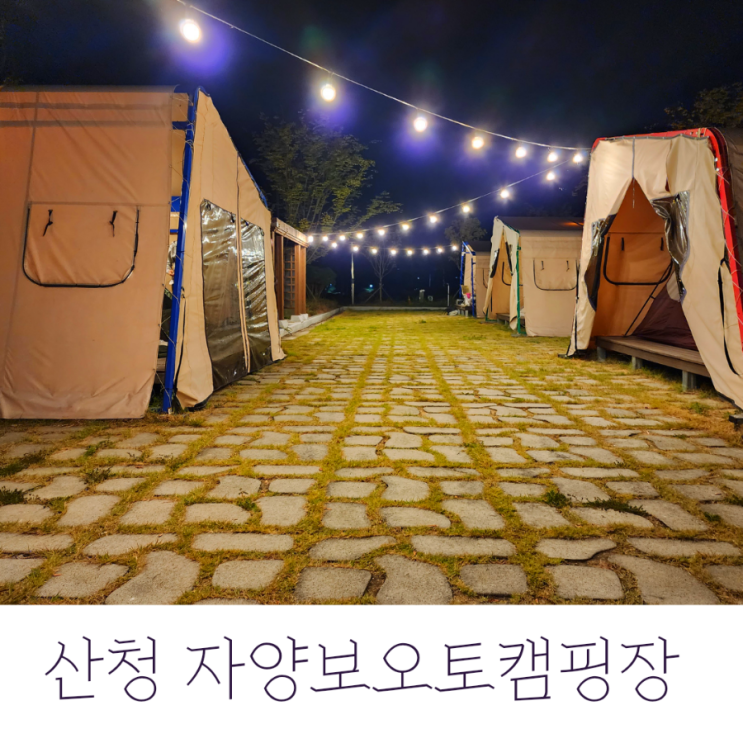 자양보오토캠핑장, 산청 지리산 타프존캠핑장의 저세상 편리함