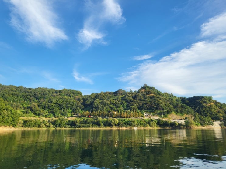  충주 꽃바위낚시터 세번째방문 두번째후기 | 민물장어낚시 | 힐링은 여기서