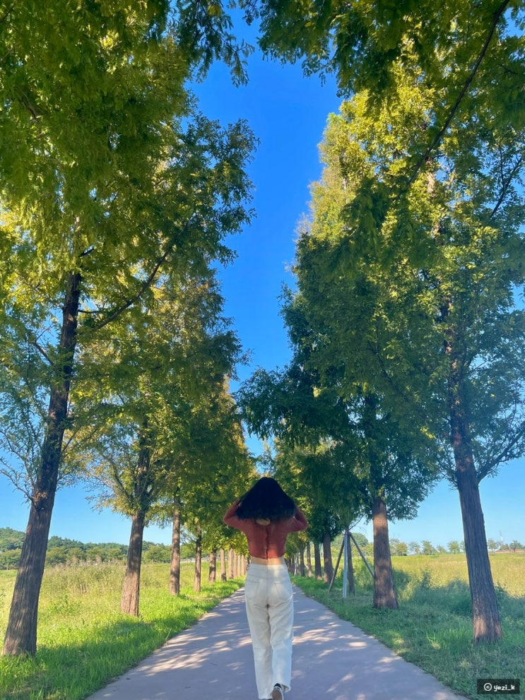  [국내여행]강릉 뚜벅이 여행 코스, Day1(엄지네포장마차,워프워프,경포생태저류지,선교장,소품샵,시장)