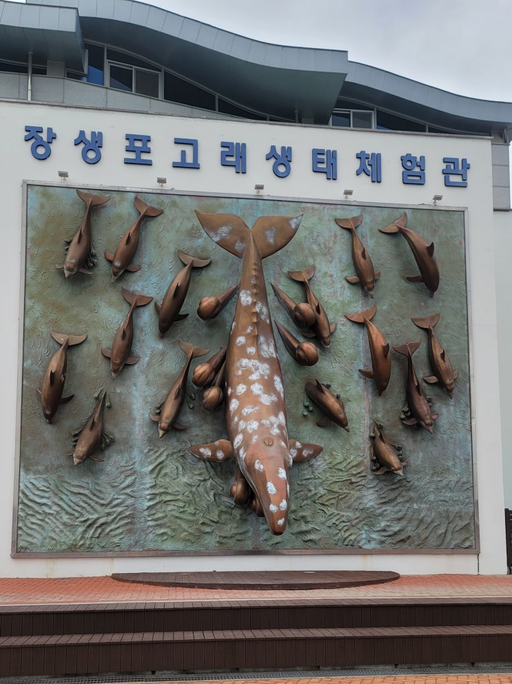  울산 가볼만한곳 / 2탄 고래 생태 체험관