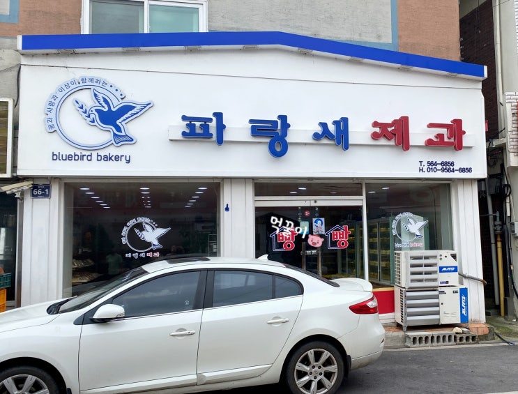  고창 파랑새제과 추억의 옛날 빵집