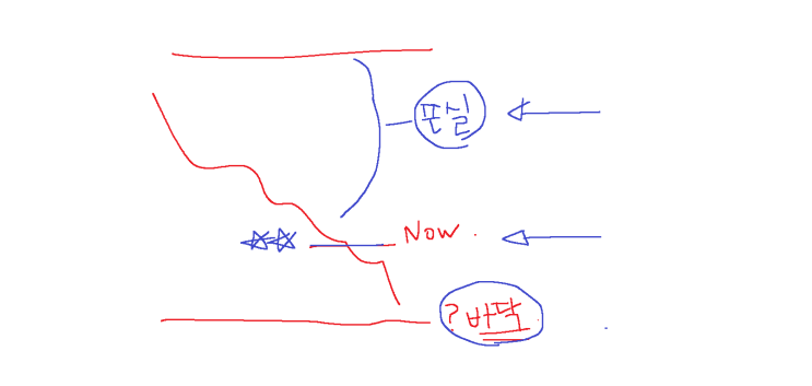 시장은 항상 효율적이라는 생각