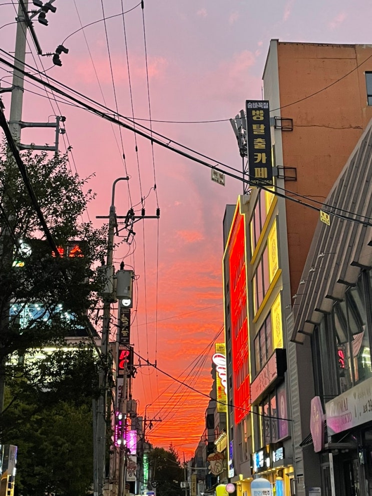  보고 또 보고
