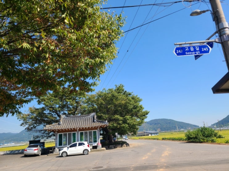  할머니집 가는 길 일상 블로그
