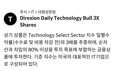 미국 주식 Soxl, Tecl 매수내역