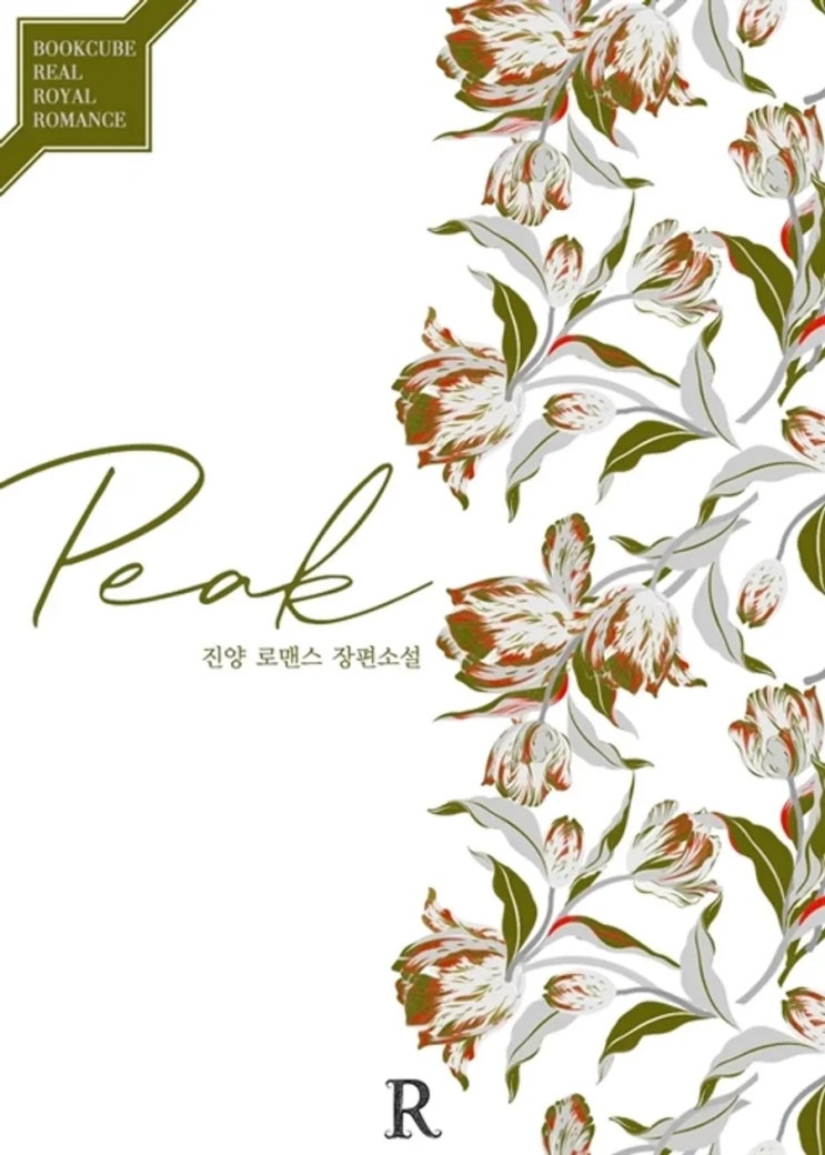  [리뷰] 진양 - 피크(Peak)