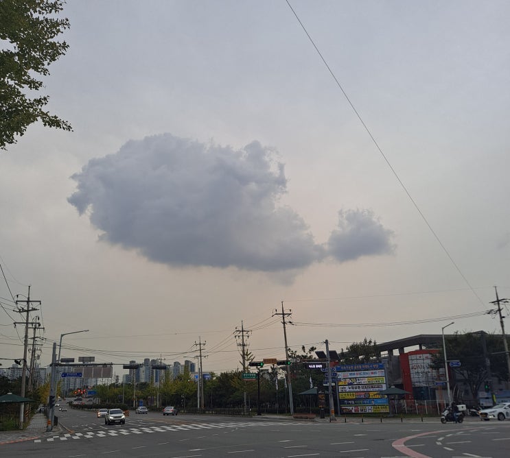  물고기 느낌이 나는 고래구름 사진