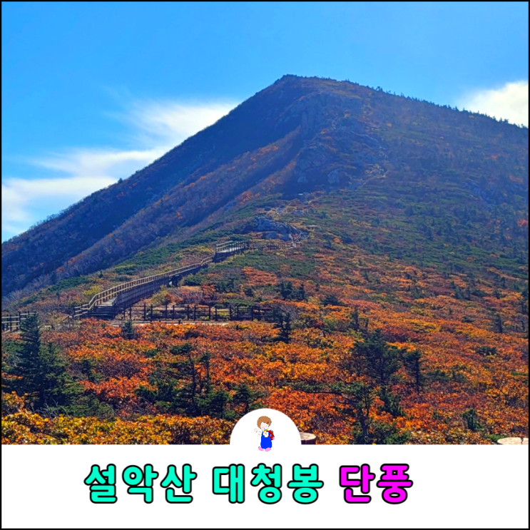 설악산 오색 대청봉 등산코스 대청봉 단풍시작 설악산 오색 대청봉 등산코스 대청봉 단풍시작