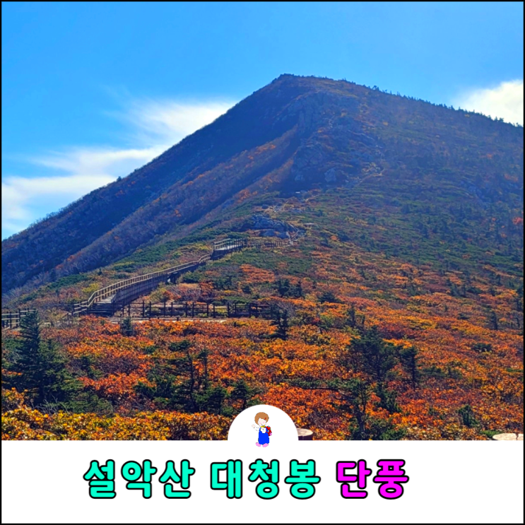 설악산 오색 대청봉 등산코스 대청봉 단풍시작