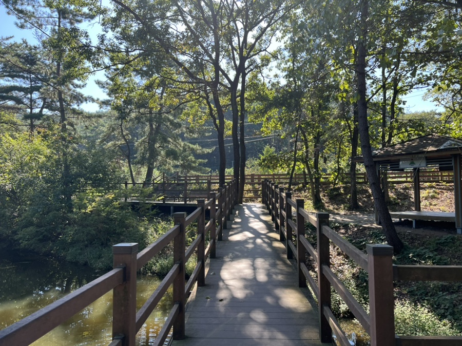 큰골 사진 4