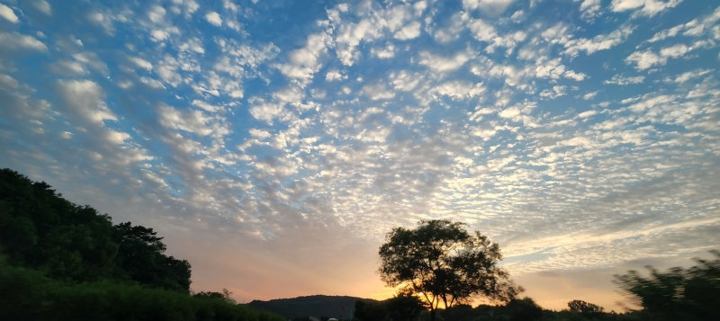 (용인외과) 대장항문센터, 피부양성종양센터, 화상치료센터, 유방갑상선센터