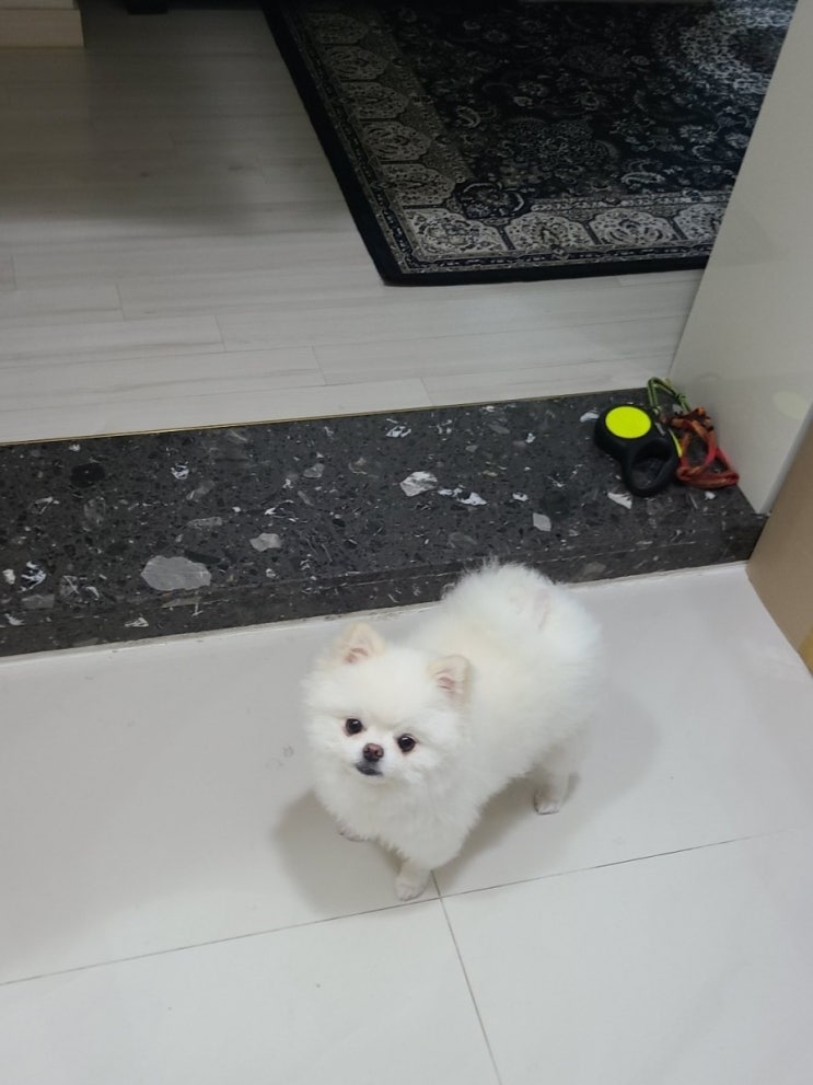  우리 옥자 실물 영접