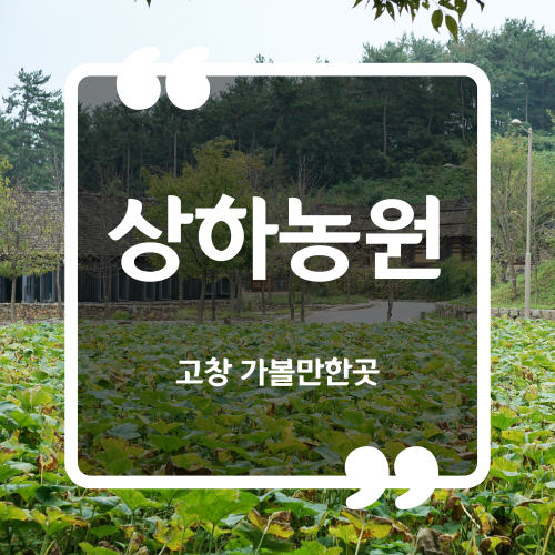 고창 가볼만한곳 상하농원 입장료 이용시간 밀크빵만들기 송아지우유주기