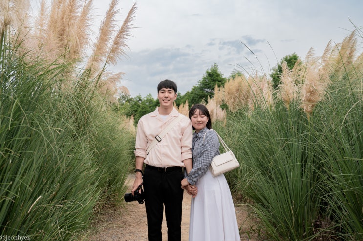 태안 청산수목원 / 팜파스와 커플스냅