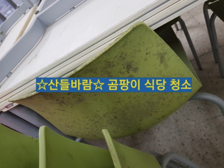  일산 기숙사 식당 준공청소, 인테리어 청소, 입주청소, 곰팡이 제거, 곰팡이 청소 전문업체(+노하우,과정,팁)