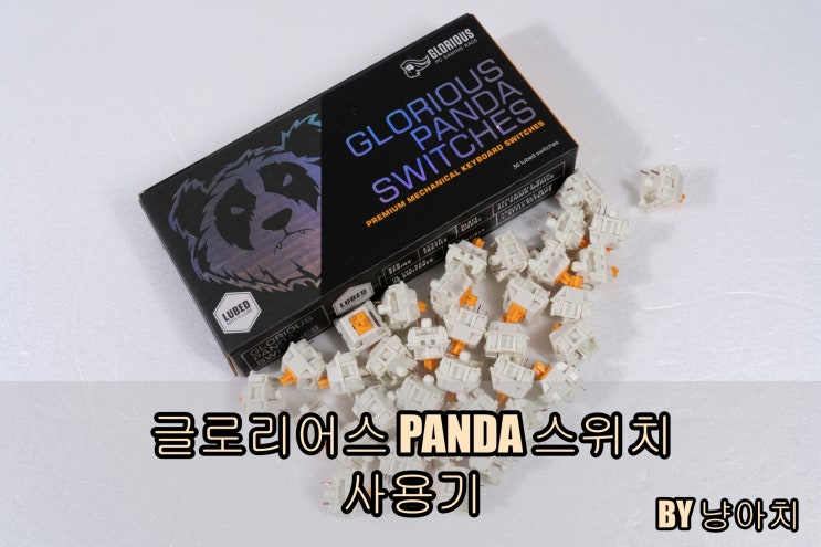 글로리어스 PANDA 스위치 사용기